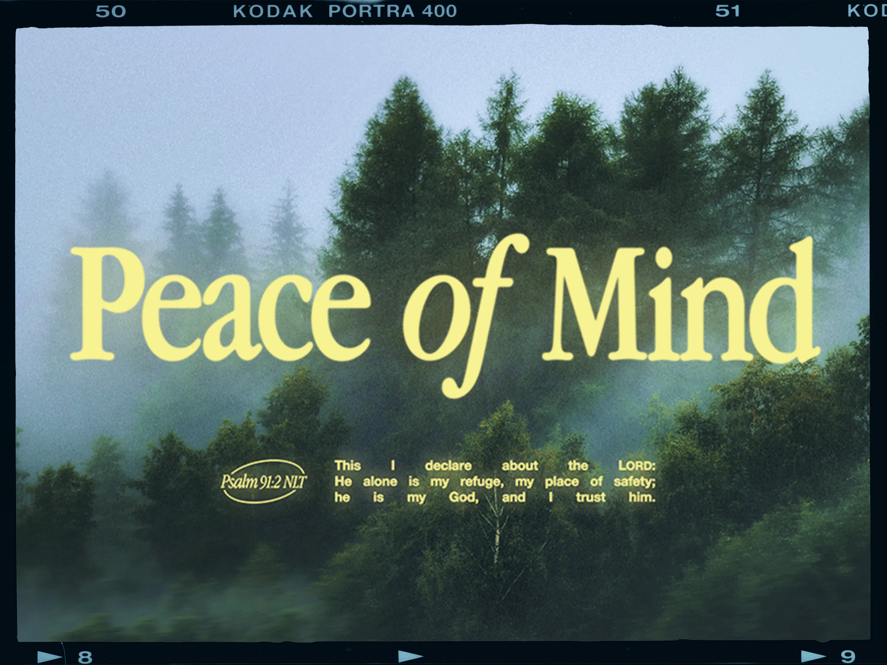 LC_PeaceOfMind_Landscape.jpg